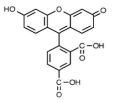 5f228b246b987.png image.png