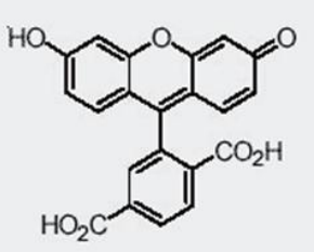 5f30b39bc85a9.png image.png