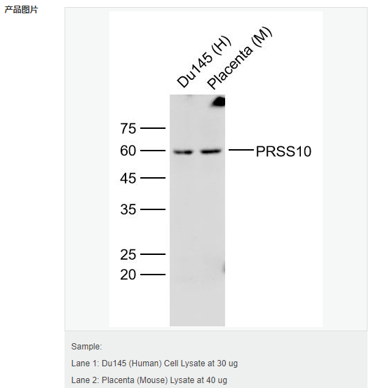 6054135f9765b.png image.png