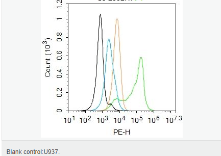 605944748131a.png image.png