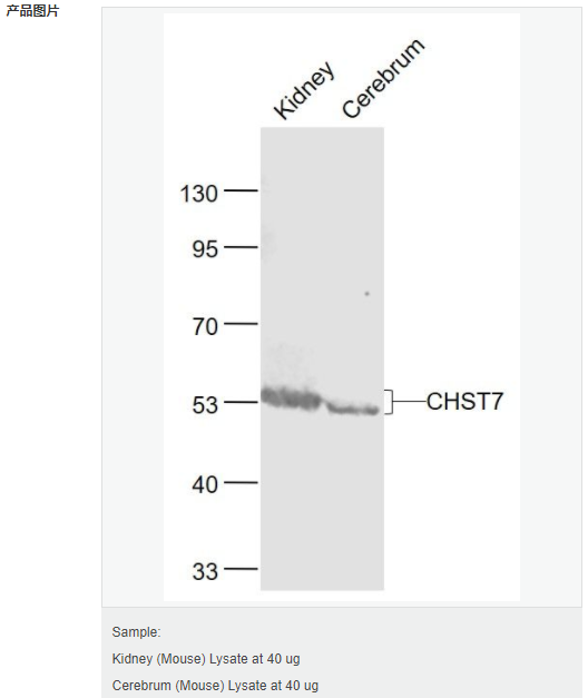 605d898f806f7.png image.png