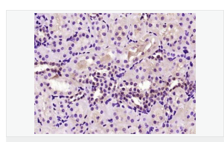 6066c3c125014.png image.png