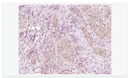 6066d8dcd6799.png image.png