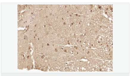 6066d9d1540a8.png image.png