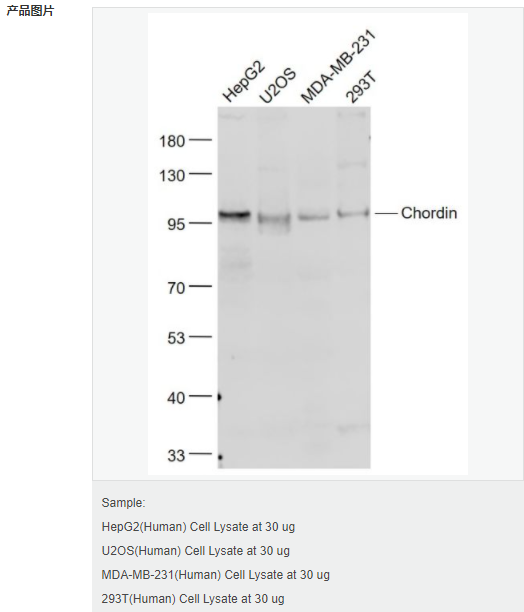 6066db573f2ea.png image.png