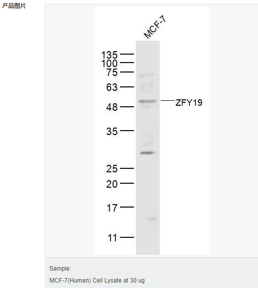 606bc725d2bc6.png image.png