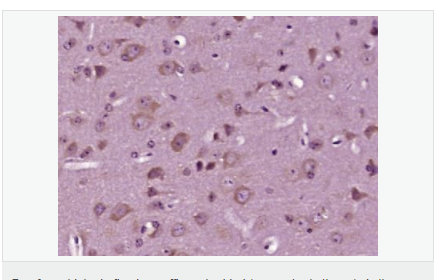 606bc7324b1b7.png image.png