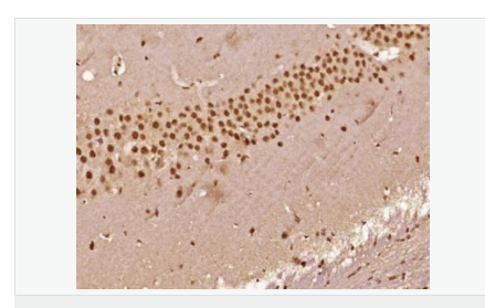 606bc7d16eaf9.png image.png