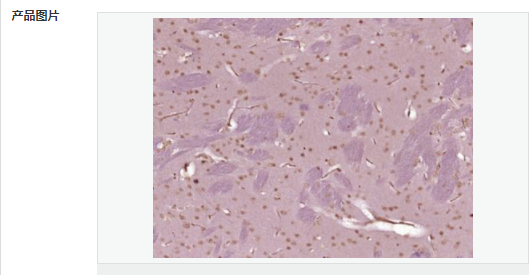 606bc9a49a82f.png image.png