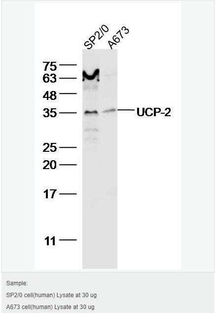 606bccfd8c063.png image.png