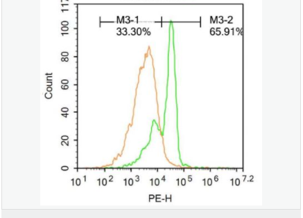 607645092d4fd.png image.png