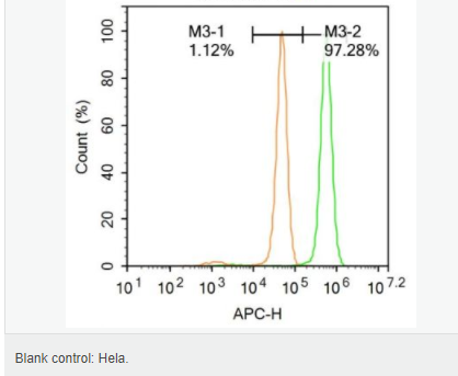 607646961f537.png image.png