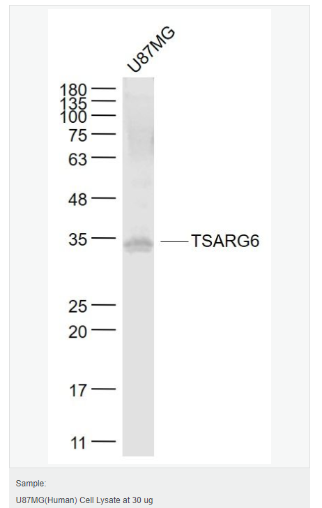 607646f8cc4a3.png image.png