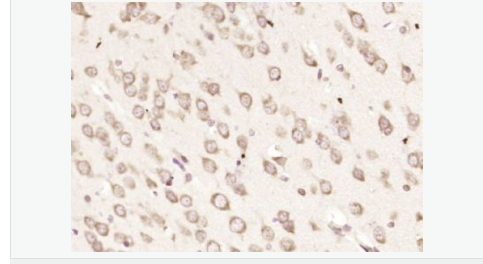 607689bfa51da.png image.png