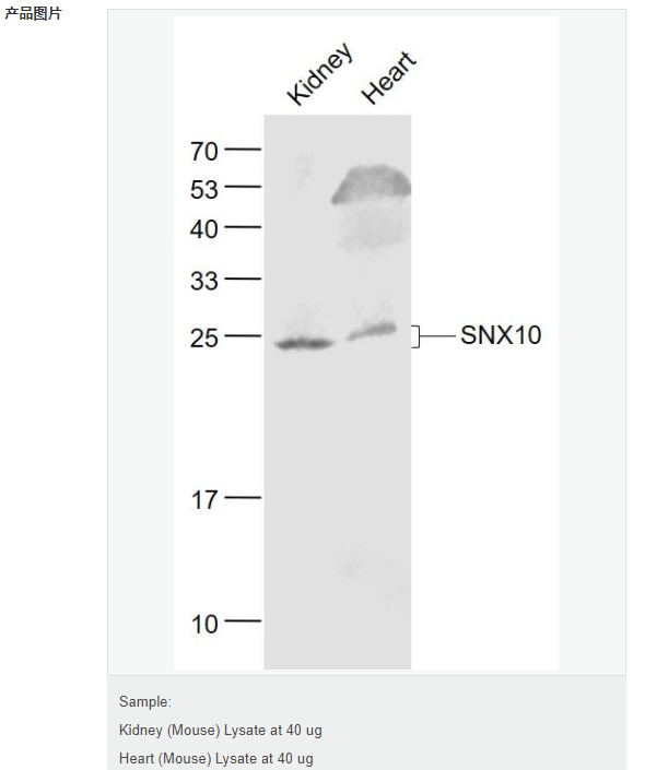 60769708dcfda.png image.png