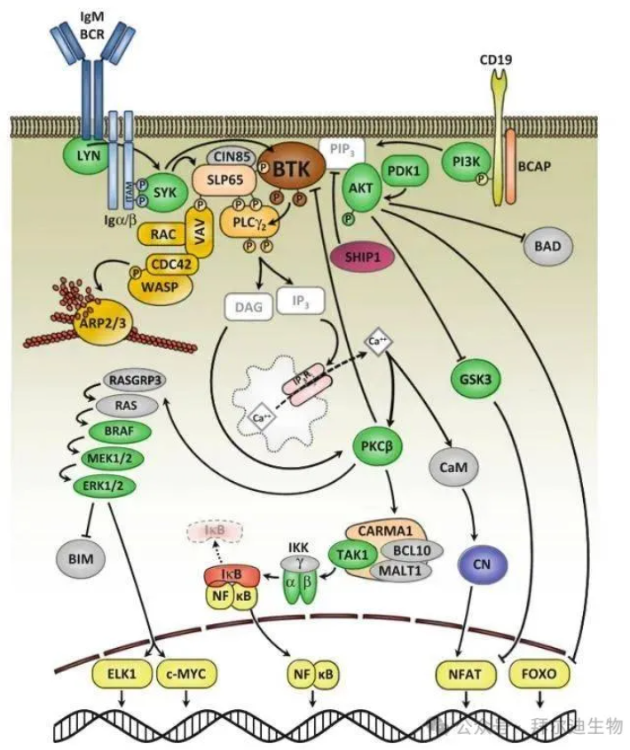 66cc2b4bb7e97.png image.png